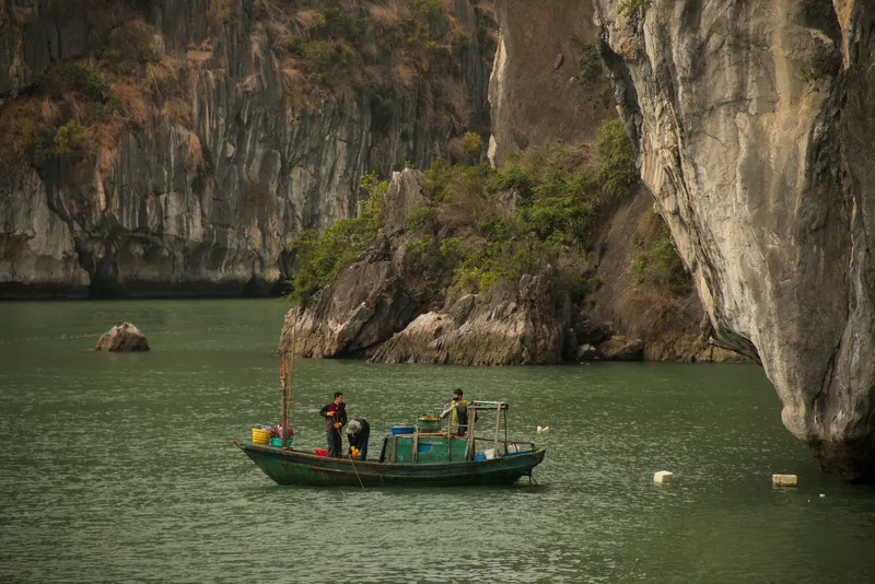 Những người đánh cá làm việc trên thuyền gỗ nhỏ giữa các núi đá vôi cao vút ở vịnh Bái Tử Long.