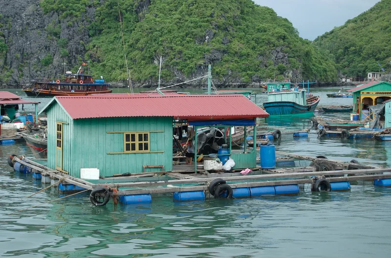 Một ngôi nhà nổi của làng chài trên các thùng phuy nằm giữa những con thuyền ở Vịnh Hạ Long, bao quanh bởi núi đá vôi.