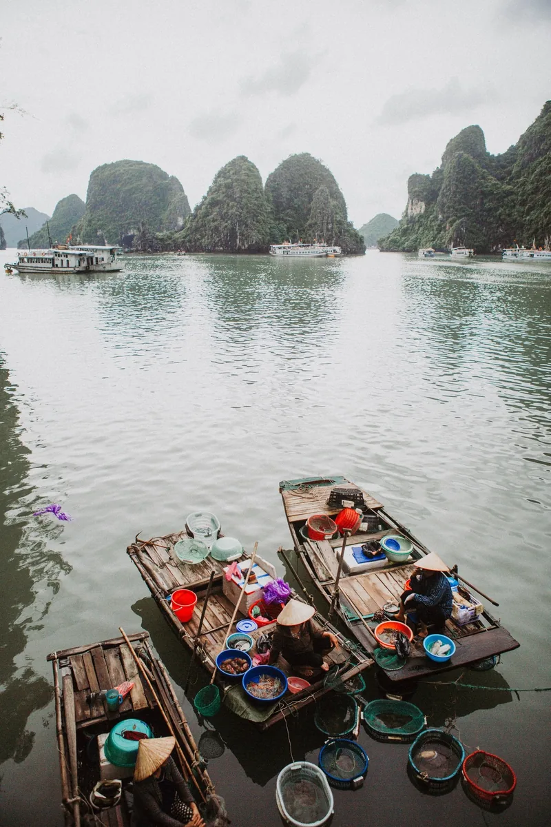 Những người bán hàng đội nón lá bán hải sản trên thuyền nhỏ giữa các đảo đá vôi ở Vịnh Hạ Long