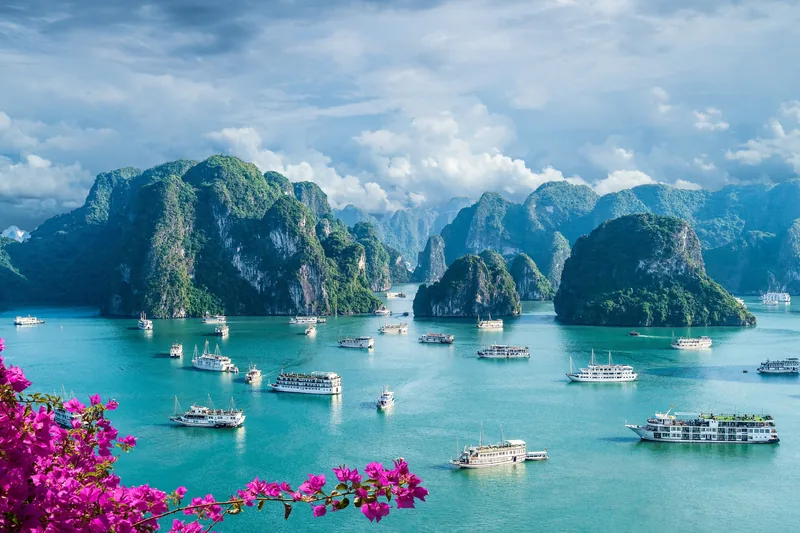 Những du thuyền rải rác trên làn nước xanh ngọc của vịnh Hạ Long, viền quanh bởi núi đá vôi và hoa giấy hồng.